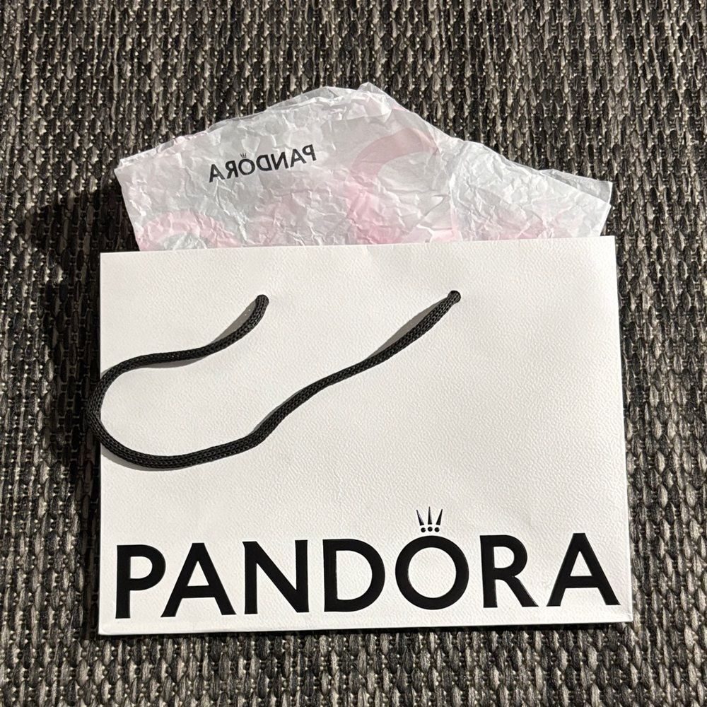 Pandora gift bag